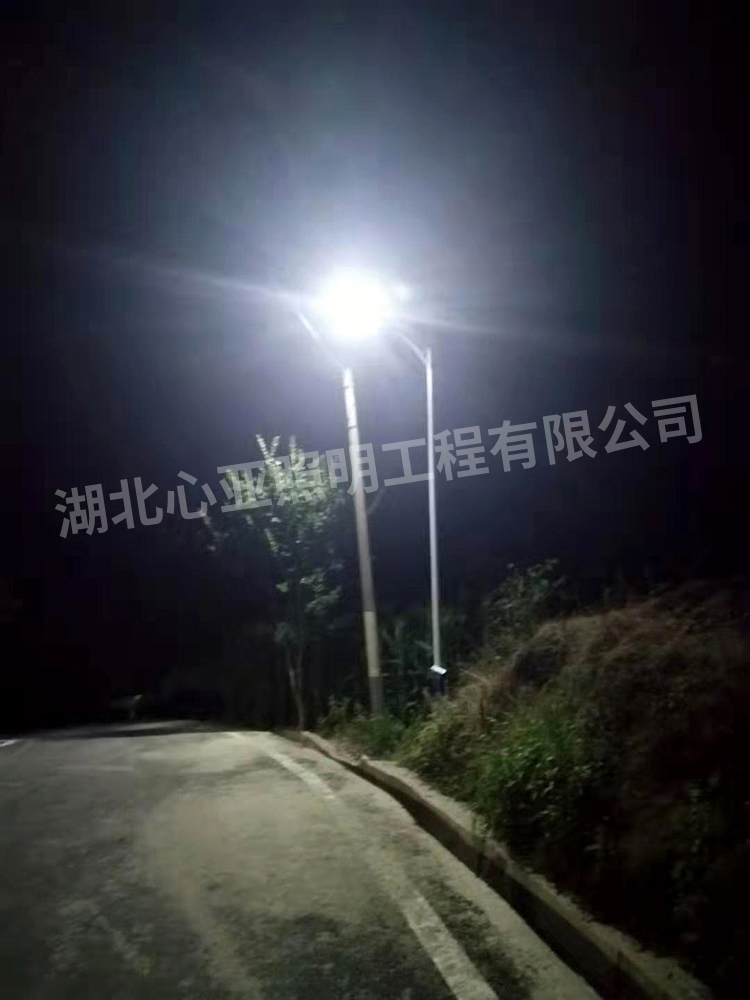 重慶墊江縣杠家鎮太陽能路燈照明項目