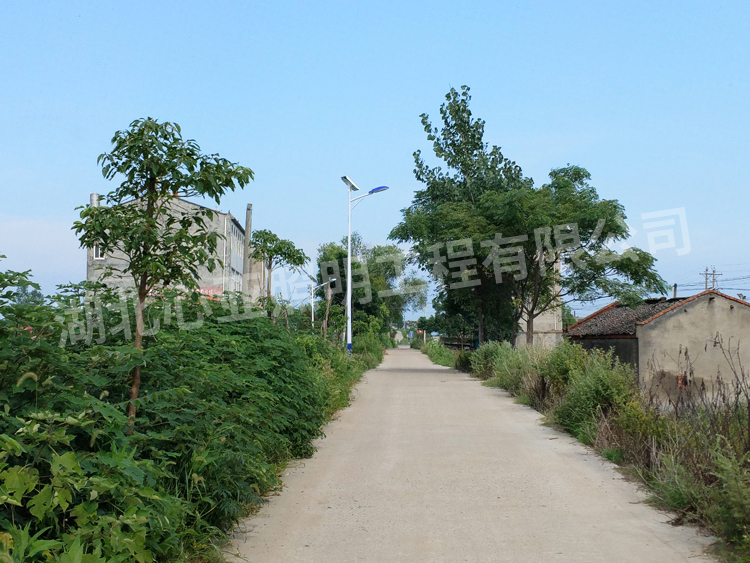 太陽能路燈安裝完成效果