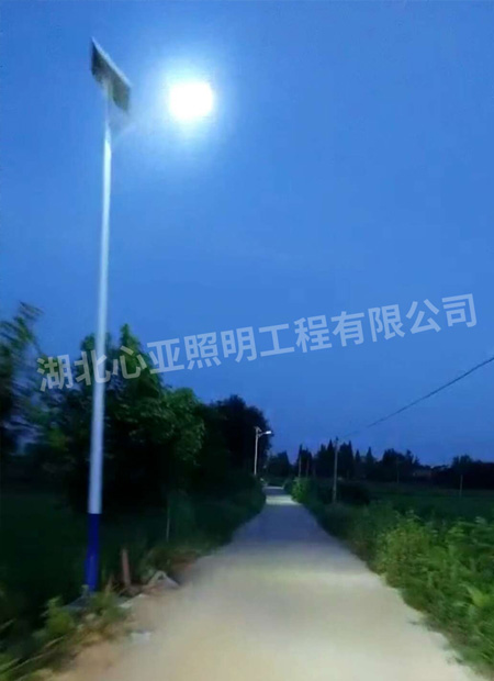 太陽能路燈安裝完成效果